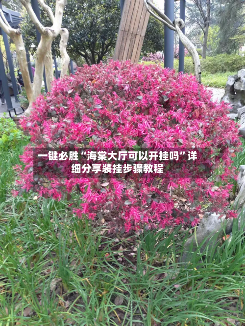 一键必胜“海棠大厅可以开挂吗”详细分享装挂步骤教程-第3张图片
