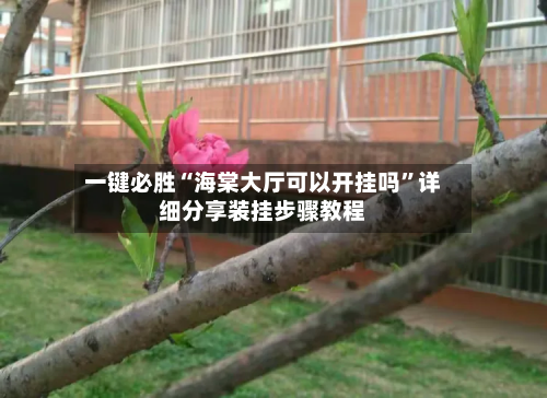 一键必胜“海棠大厅可以开挂吗”详细分享装挂步骤教程-第2张图片
