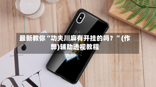 最新教你“功夫川麻有开挂的吗?”(作弊)辅助透视教程