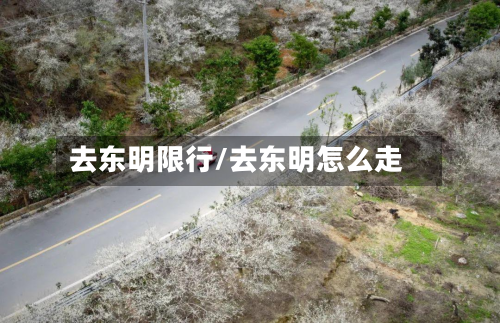 去东明限行/去东明怎么走-第3张图片