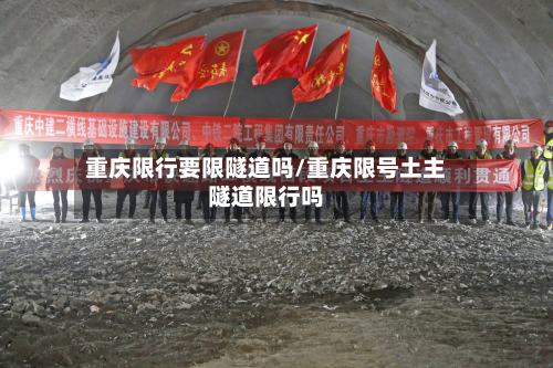 重庆限行要限隧道吗/重庆限号土主隧道限行吗