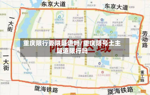 重庆限行要限隧道吗/重庆限号土主隧道限行吗-第3张图片