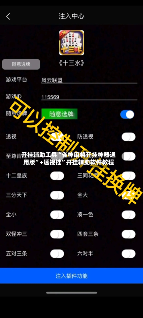 开挂辅助工具“雀神麻将开挂神器通用版”+透视挂”开挂辅助软件教程-第3张图片