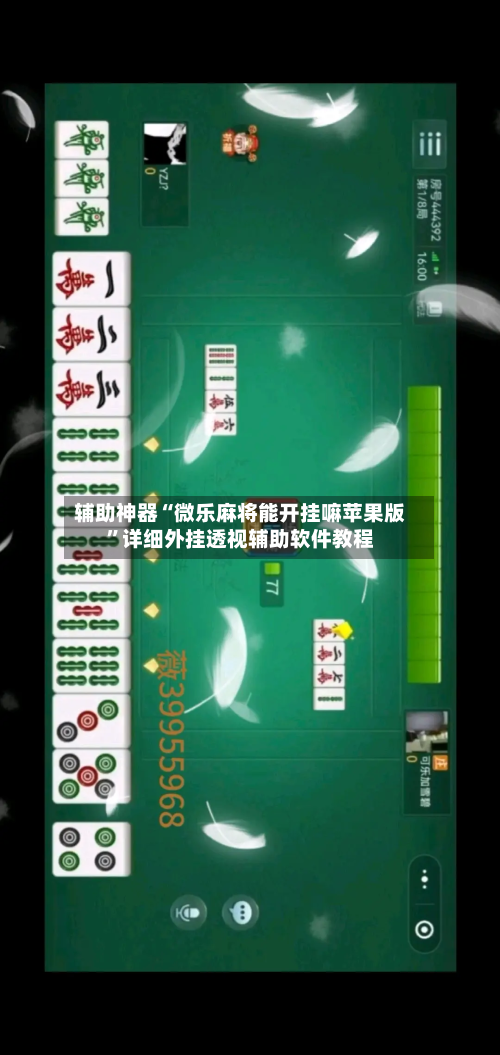 辅助神器“微乐麻将能开挂嘛苹果版”详细外挂透视辅助软件教程