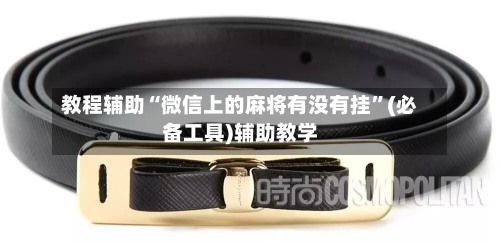 教程辅助“微信上的麻将有没有挂”(必备工具)辅助教学