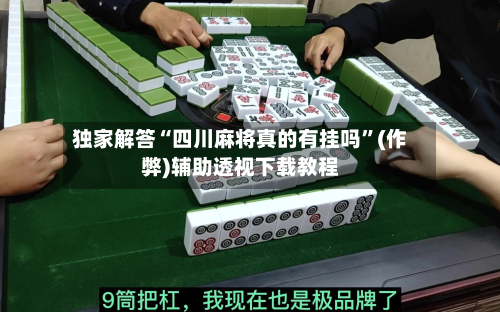 独家解答“四川麻将真的有挂吗	”(作弊)辅助透视下载教程-第2张图片