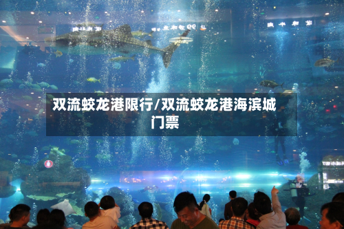 双流蛟龙港限行/双流蛟龙港海滨城门票-第2张图片