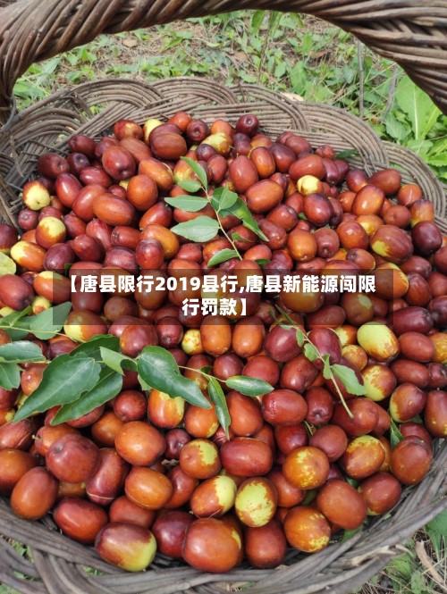 【唐县限行2019县行,唐县新能源闯限行罚款】-第3张图片