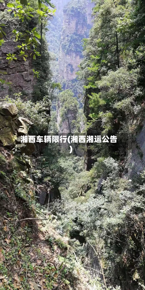 湘西车辆限行(湘西湘运公告)