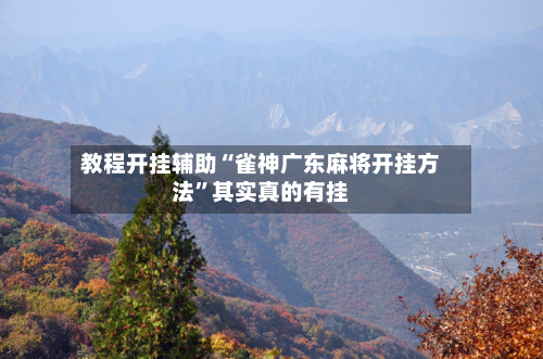 教程开挂辅助“雀神广东麻将开挂方法”其实真的有挂-第2张图片