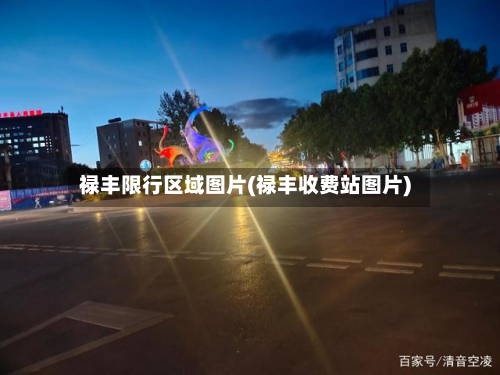 禄丰限行区域图片(禄丰收费站图片)-第2张图片