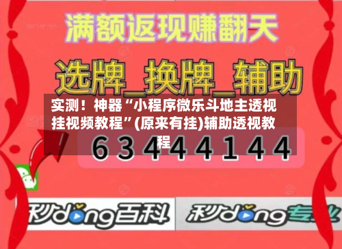 实测！神器“小程序微乐斗地主透视挂视频教程”(原来有挂)辅助透视教程-第2张图片
