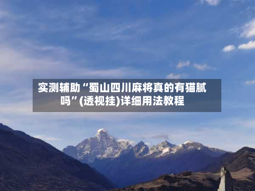 实测辅助“蜀山四川麻将真的有猫腻吗”(透视挂)详细用法教程-第2张图片