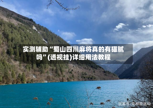 实测辅助“蜀山四川麻将真的有猫腻吗”(透视挂)详细用法教程