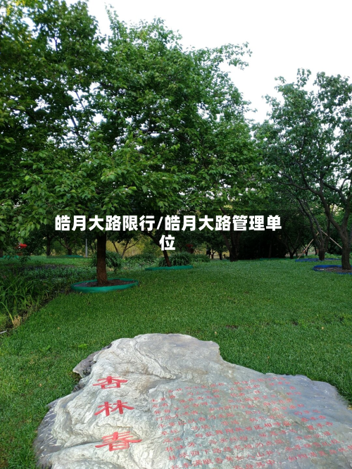 皓月大路限行/皓月大路管理单位