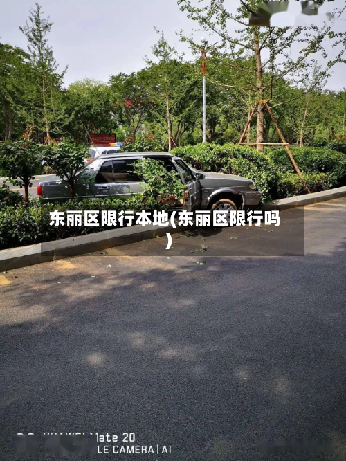 东丽区限行本地(东丽区限行吗)-第2张图片