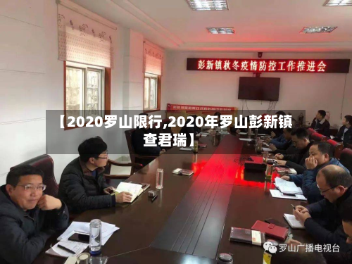 【2020罗山限行,2020年罗山彭新镇查君瑞】