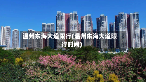 温州东海大道限行(温州东海大道限行时间)-第2张图片