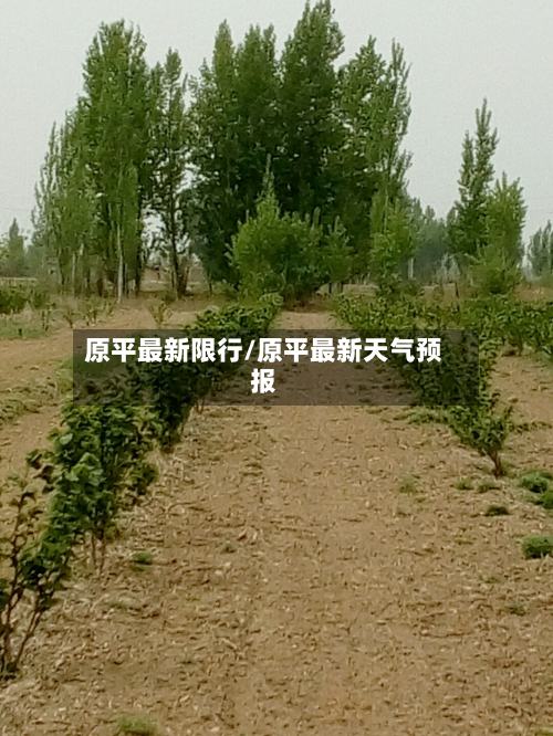 原平最新限行/原平最新天气预报-第3张图片