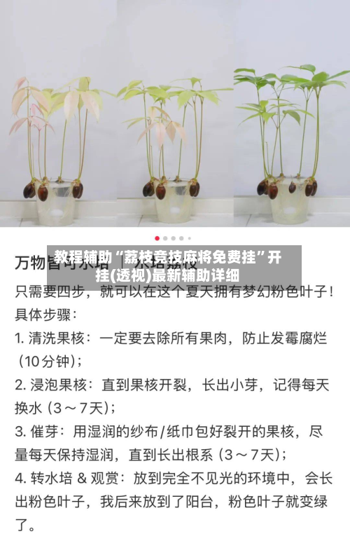 教程辅助“荔枝竞技麻将免费挂”开挂(透视)最新辅助详细-第2张图片