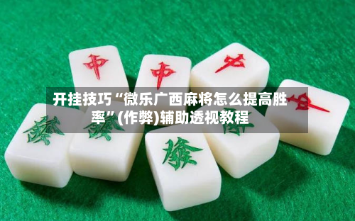 开挂技巧“微乐广西麻将怎么提高胜率”(作弊)辅助透视教程
