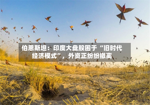 伯恩斯坦：印度大盘股困于 “旧时代经济模式”，外资正纷纷撤离
