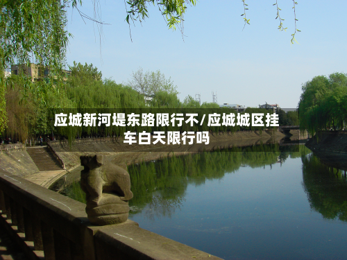应城新河堤东路限行不/应城城区挂车白天限行吗-第2张图片