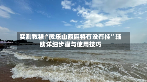 实测教程“微乐山西麻将有没有挂”辅助详细步骤与使用技巧-第3张图片