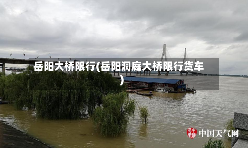岳阳大桥限行(岳阳洞庭大桥限行货车)-第2张图片