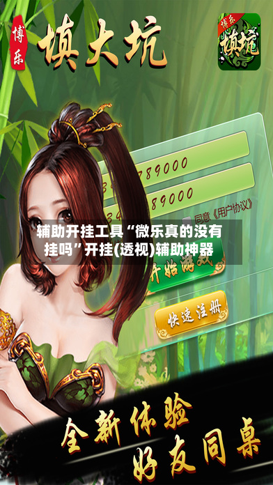 辅助开挂工具“微乐真的没有挂吗”开挂(透视)辅助神器-第2张图片