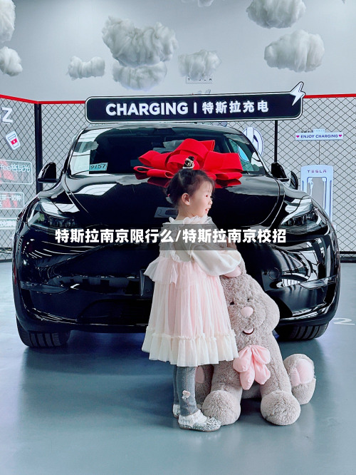 特斯拉南京限行么/特斯拉南京校招