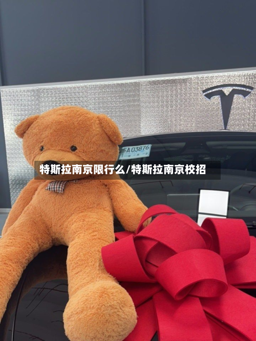 特斯拉南京限行么/特斯拉南京校招-第2张图片