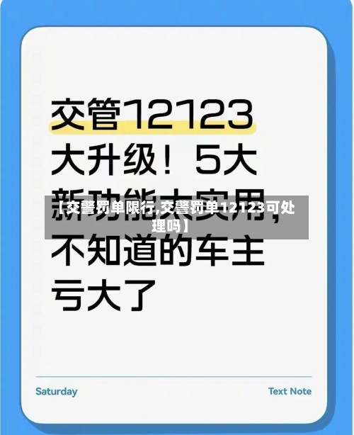 【交警罚单限行,交警罚单12123可处理吗】-第3张图片