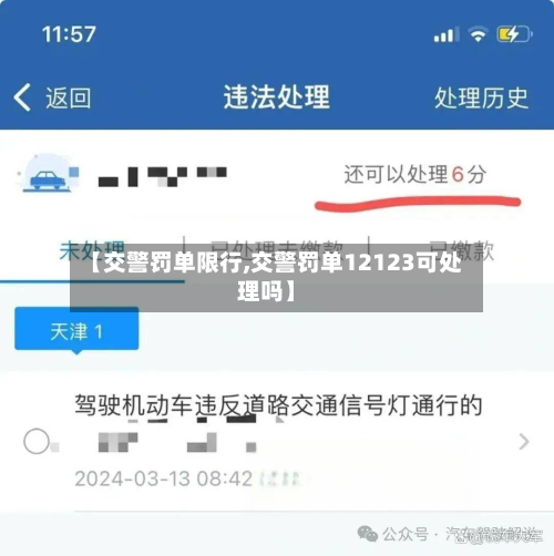 【交警罚单限行,交警罚单12123可处理吗】-第2张图片