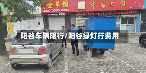 阳谷车辆限行/阳谷绿灯行费用-第3张图片