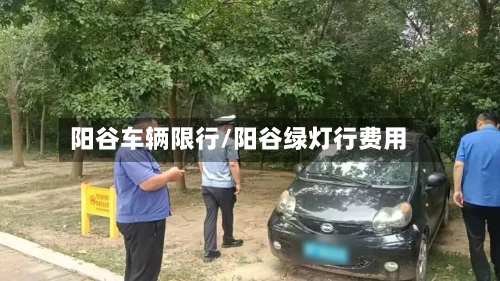 阳谷车辆限行/阳谷绿灯行费用-第2张图片