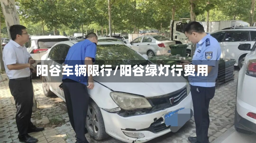 阳谷车辆限行/阳谷绿灯行费用
