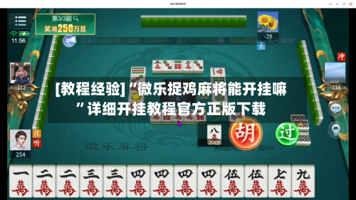 [教程经验]“微乐捉鸡麻将能开挂嘛”详细开挂教程官方正版下载-第3张图片