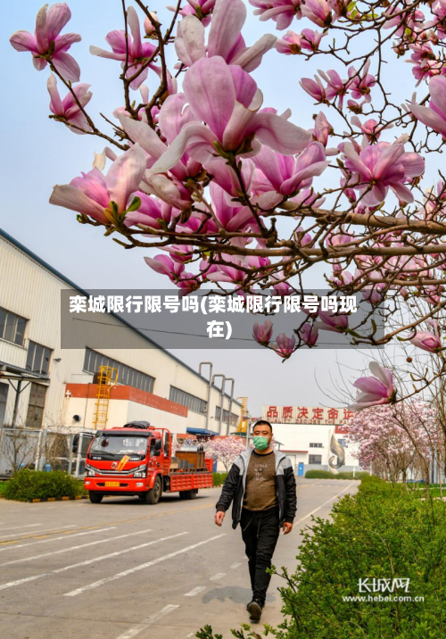 栾城限行限号吗(栾城限行限号吗现在)-第2张图片