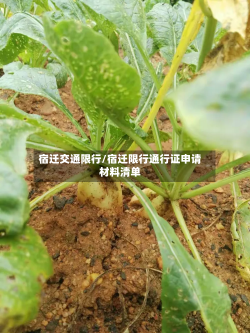 宿迁交通限行/宿迁限行通行证申请材料清单