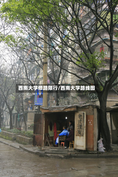 西南大学修路限行/西南大学路线图