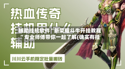 辅助挂机软件“新荣耀斗牛开挂教程”专业师傅带你一起了解(确实有挂-第3张图片