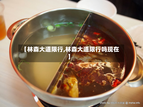 【林森大道限行,林森大道限行吗现在】-第2张图片