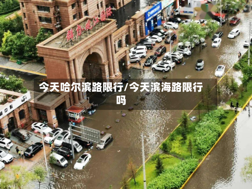 今天哈尔滨路限行/今天滨海路限行吗