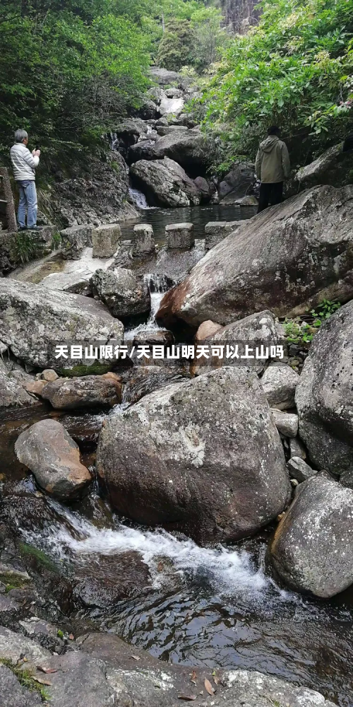 天目山限行/天目山明天可以上山吗-第2张图片