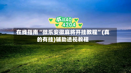 在线指南“微乐安徽麻将开挂教程”(真的有挂)辅助透视教程-第3张图片