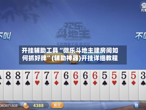 开挂辅助工具“微乐斗地主建房间如何抓好牌”(辅助神器)开挂详细教程