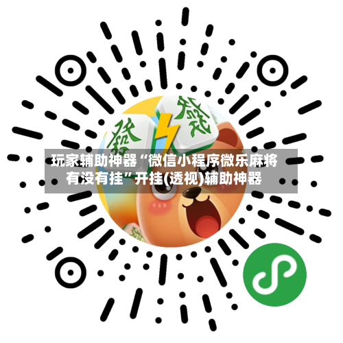 玩家辅助神器“微信小程序微乐麻将有没有挂”开挂(透视)辅助神器-第3张图片
