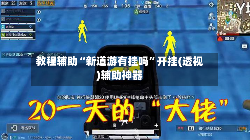 教程辅助“新道游有挂吗”开挂(透视)辅助神器