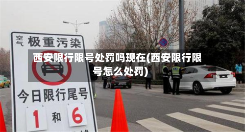 西安限行限号处罚吗现在(西安限行限号怎么处罚)-第2张图片